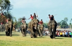 Đắk Lắk: Khai mạc Lễ hội đua voi năm 2014